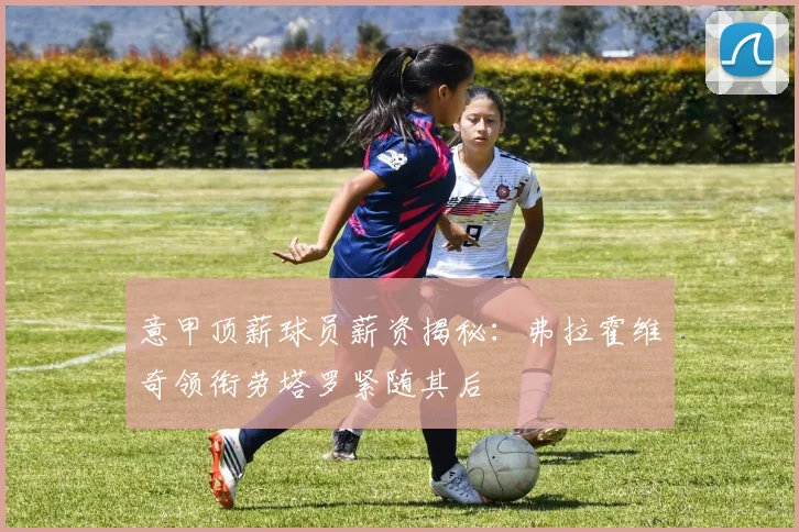 意甲顶薪球员薪资揭秘：弗拉霍维奇领衔劳塔罗紧随其后